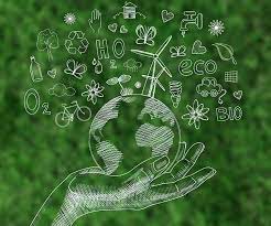 Programaciones Didácticas del Departamento de Ciencias Naturales 25/26